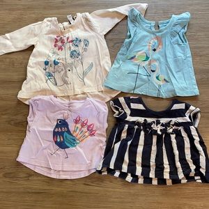 Tea collection shirt bundle